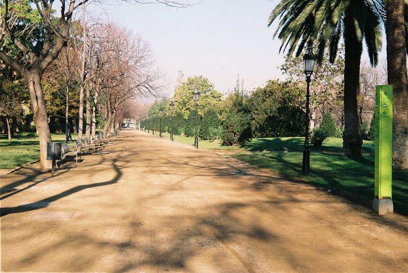 Regula CITA III-4428