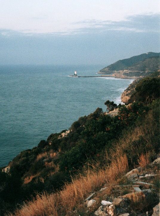 Yashica Electro 35
