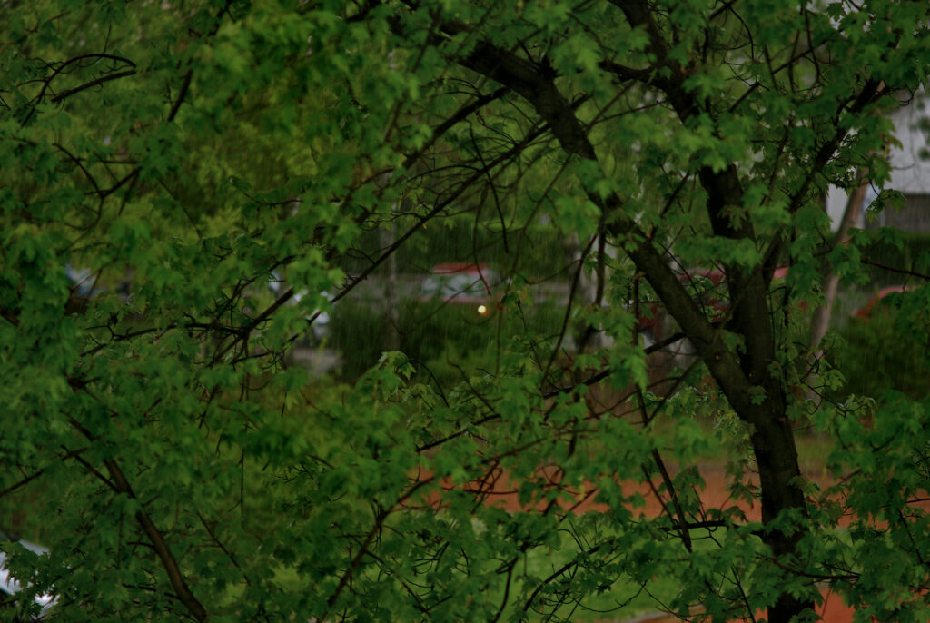 Enna München Tele-Ennalyt 2.8/135mm-4850