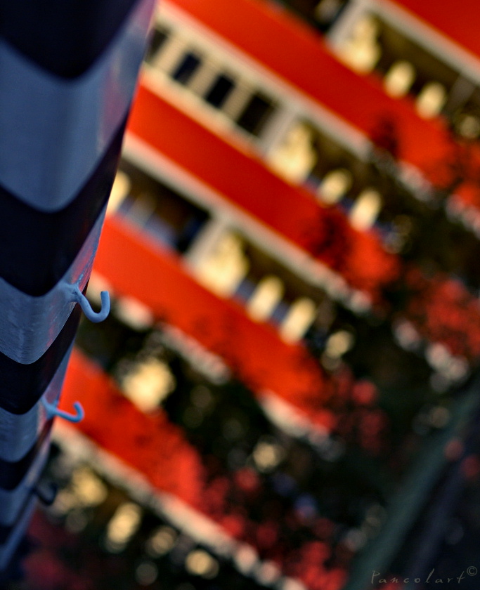 Revuenon 1.2/55mm Pentax K-mount-5552