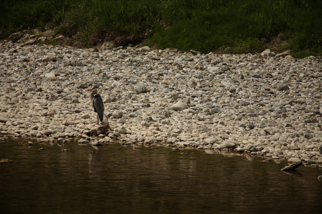 Vivitar / Tokina 6.3 / 400mm-8627