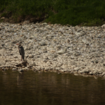 Vivitar / Tokina 6.3 / 400mm-8627