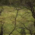 Vivitar / Tokina 6.3 / 400mm-8628