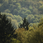 Vivitar / Tokina 6.3 / 400mm-8631