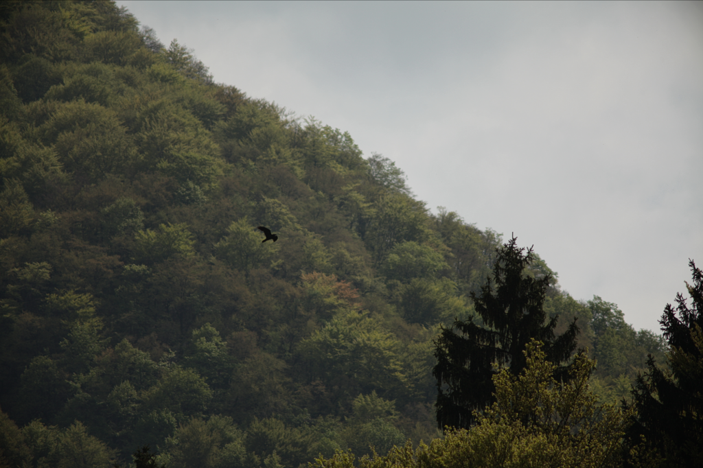 Vivitar / Tokina 6.3 / 400mm-8632