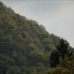 Vivitar / Tokina 6.3 / 400mm-8632
