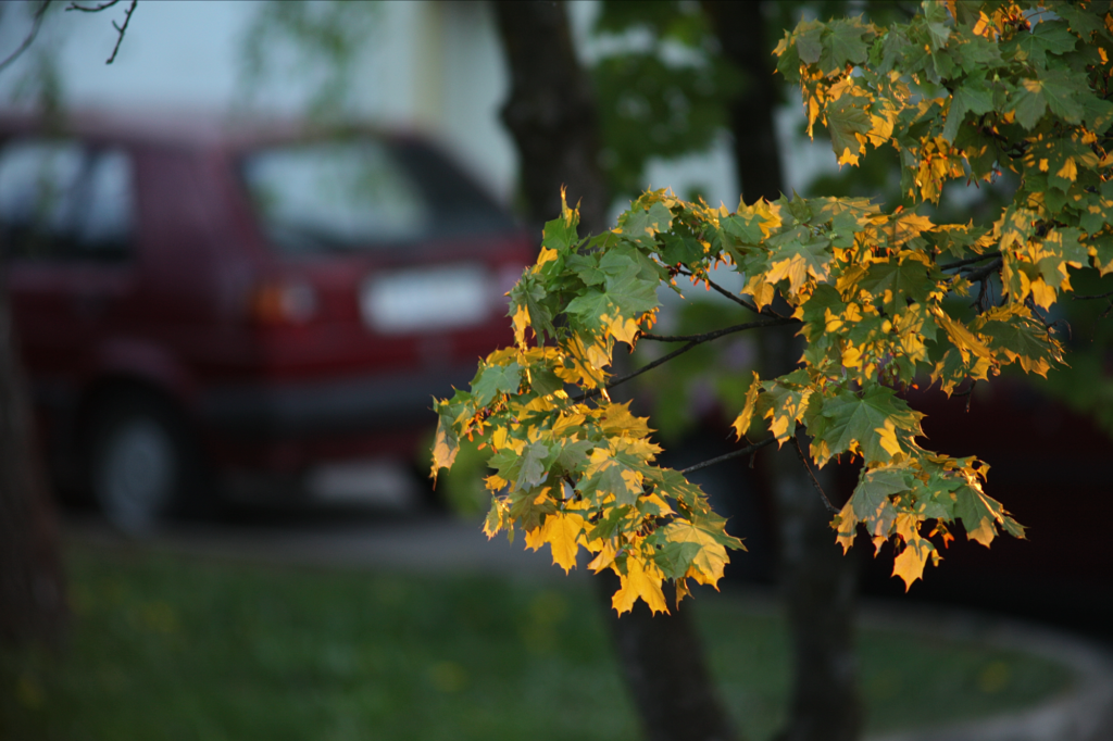 Vivitar / Tokina 6.3 / 400mm-8639