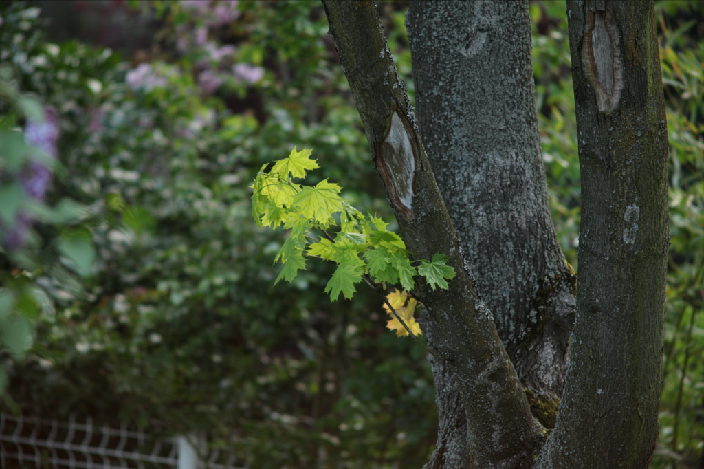 Vivitar / Tokina 6.3 / 400mm-8641