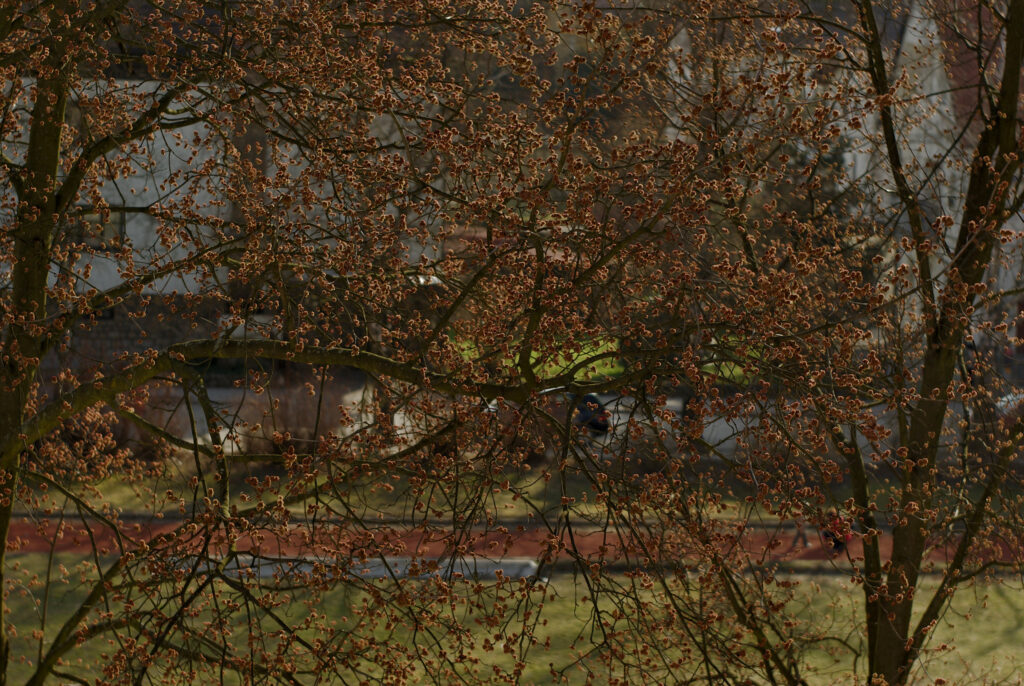 VIVITAR 1.8/85mm T2-6210