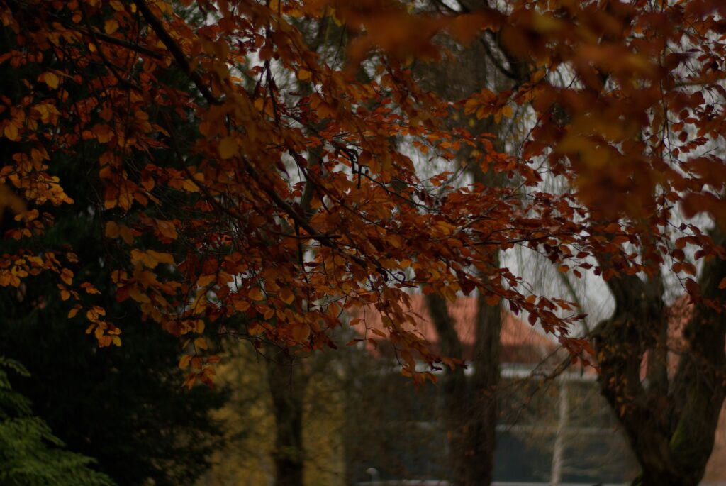 VIVITAR 1.8/85mm T2-6695