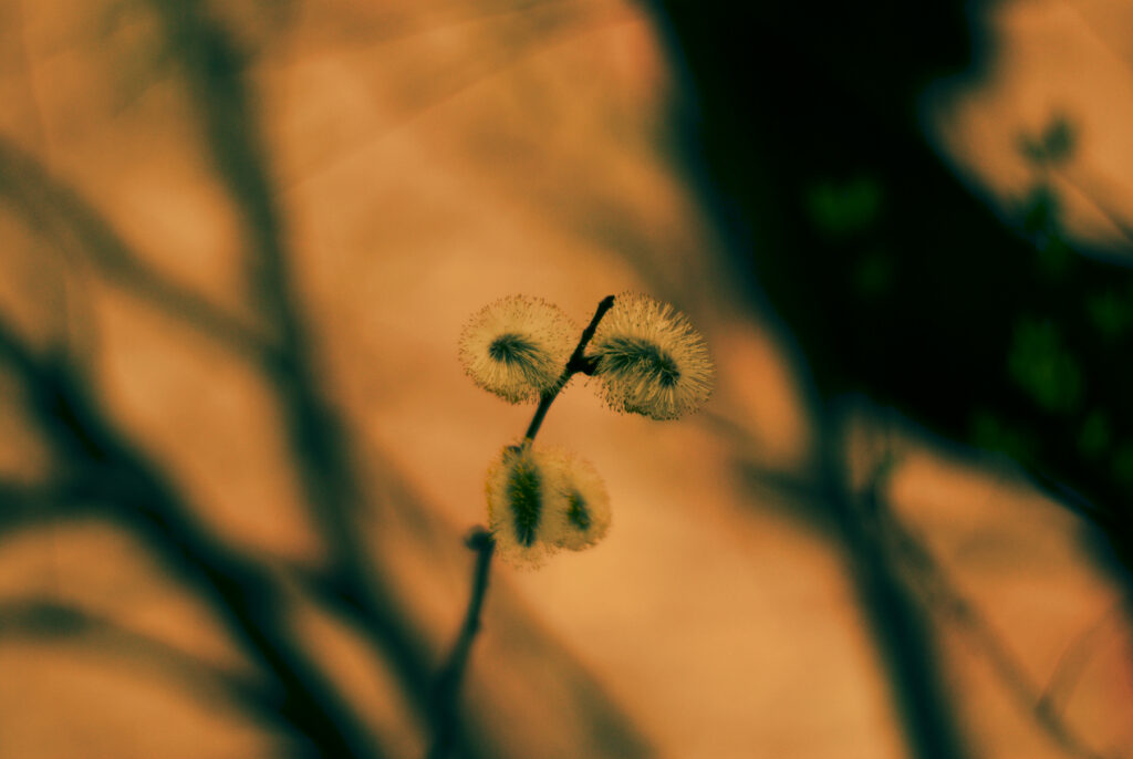 VIVITAR 1.8/85mm T2-6706