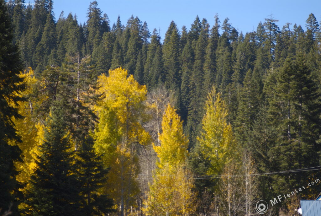 Vivitar 135/2.8 CF-3674
