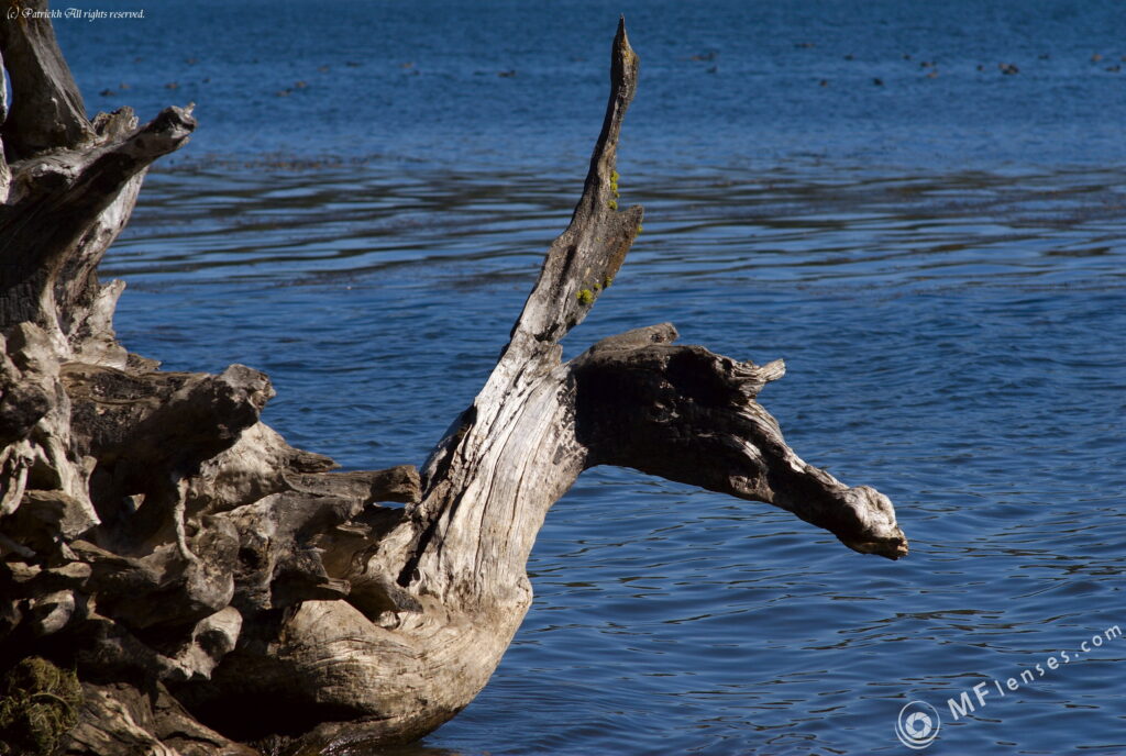 Vivitar 135/2.8 CF-3664