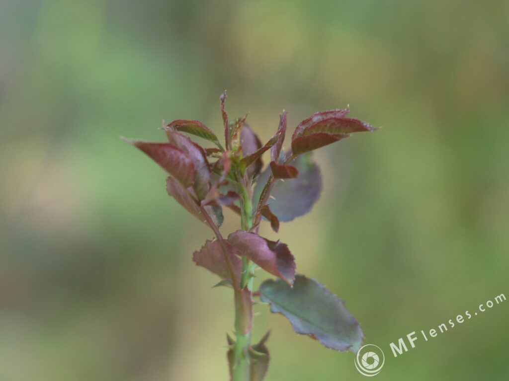 Helios-40-2 85mm f/1.5 M42 black-2594