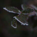 Helios-44 58mm f/2 M39 alu very old-1322