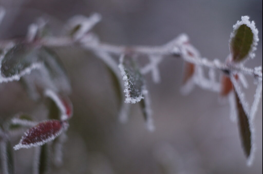 Helios-44 58mm f/2 M39 alu very old-1323