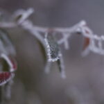 Helios-44 58mm f/2 M39 alu very old-1323