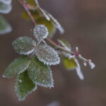Helios-44 58mm f/2 M39 alu very old-1325
