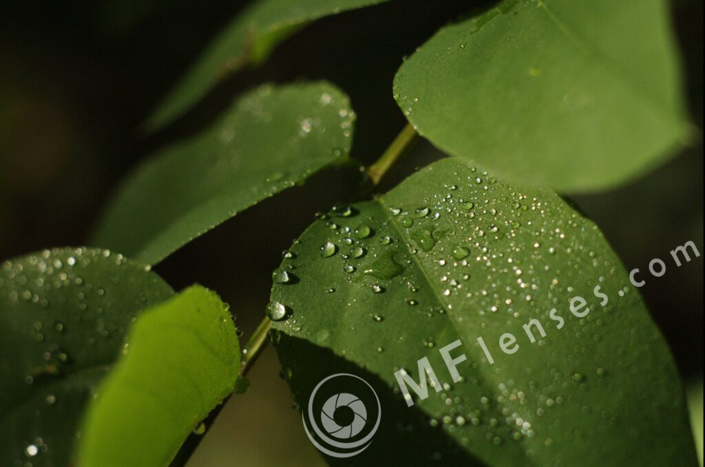 Helios M-44 58mm f/2-16-101