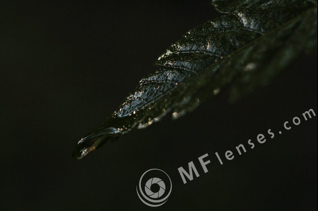 Helios M-44 58mm f/2-16-103