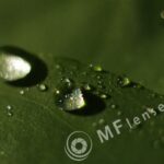 Helios M-44 58mm f/2-16-105