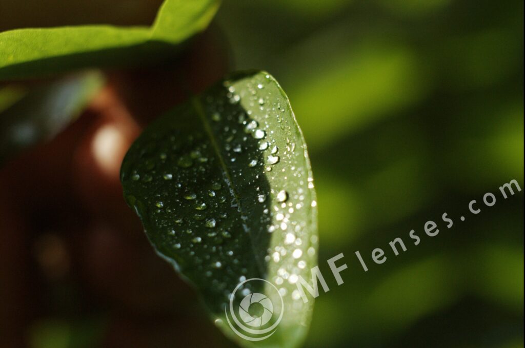 Helios M-44 58mm f/2-16-106