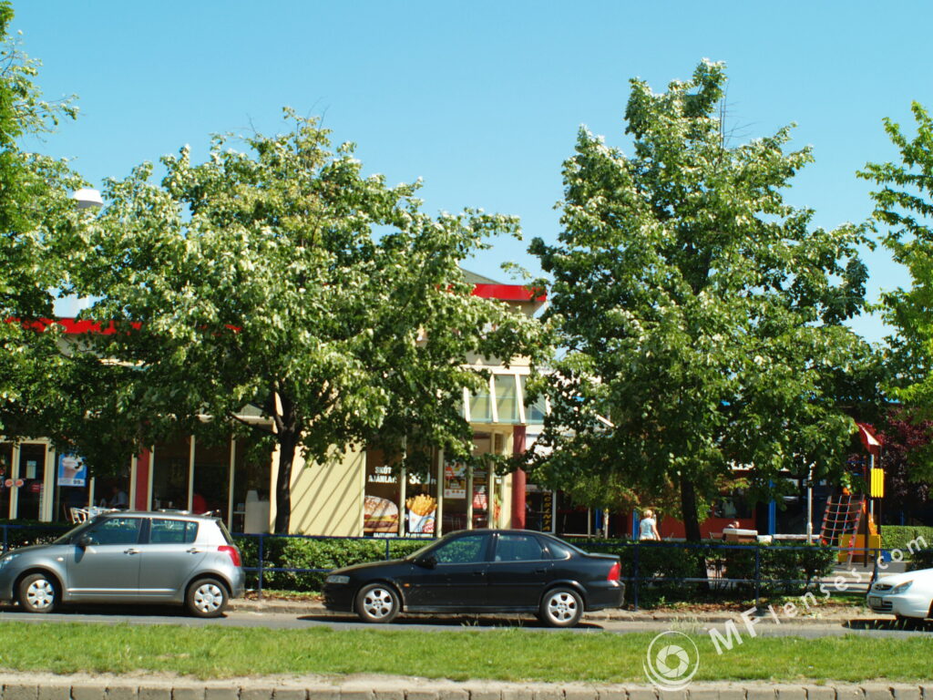 Mir-10A 28mm f/3.5-2119