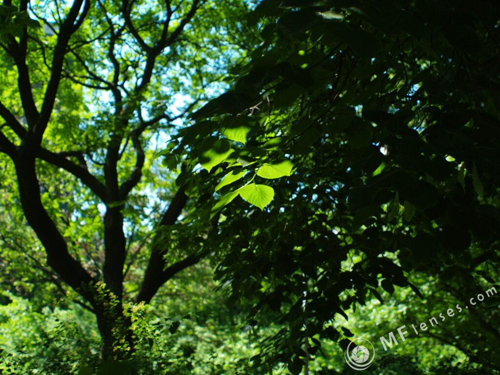 Mir-10A 28mm f/3.5-2121