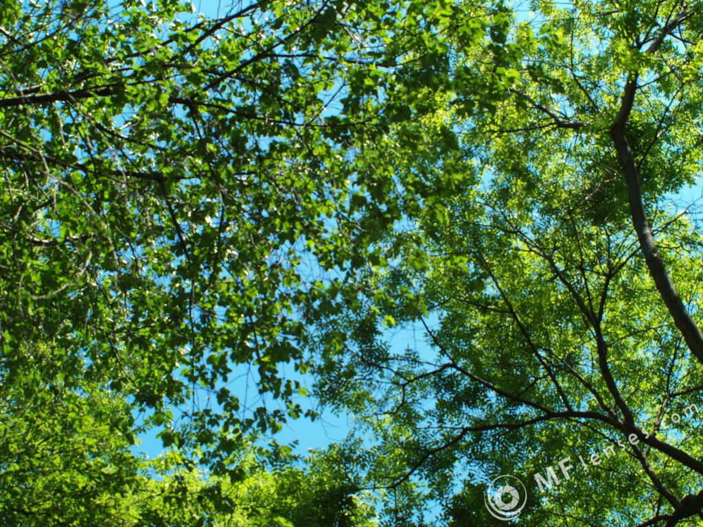 Mir-10A 28mm f/3.5-2128