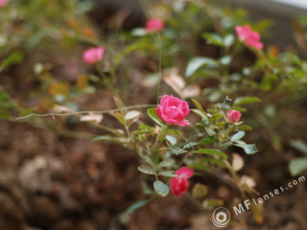 Mir-24H 35mm f2-2866