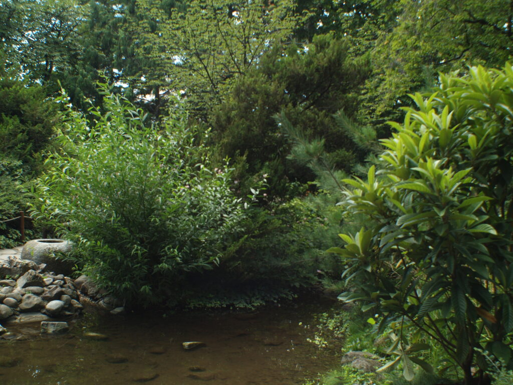 MIR-20M 20mm f/3.5-2361