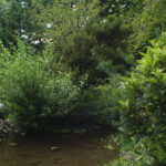 MIR-20M 20mm f/3.5-2361