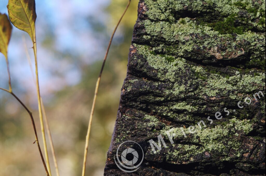 Industar 50-2 50mm f/3.5 M42-818