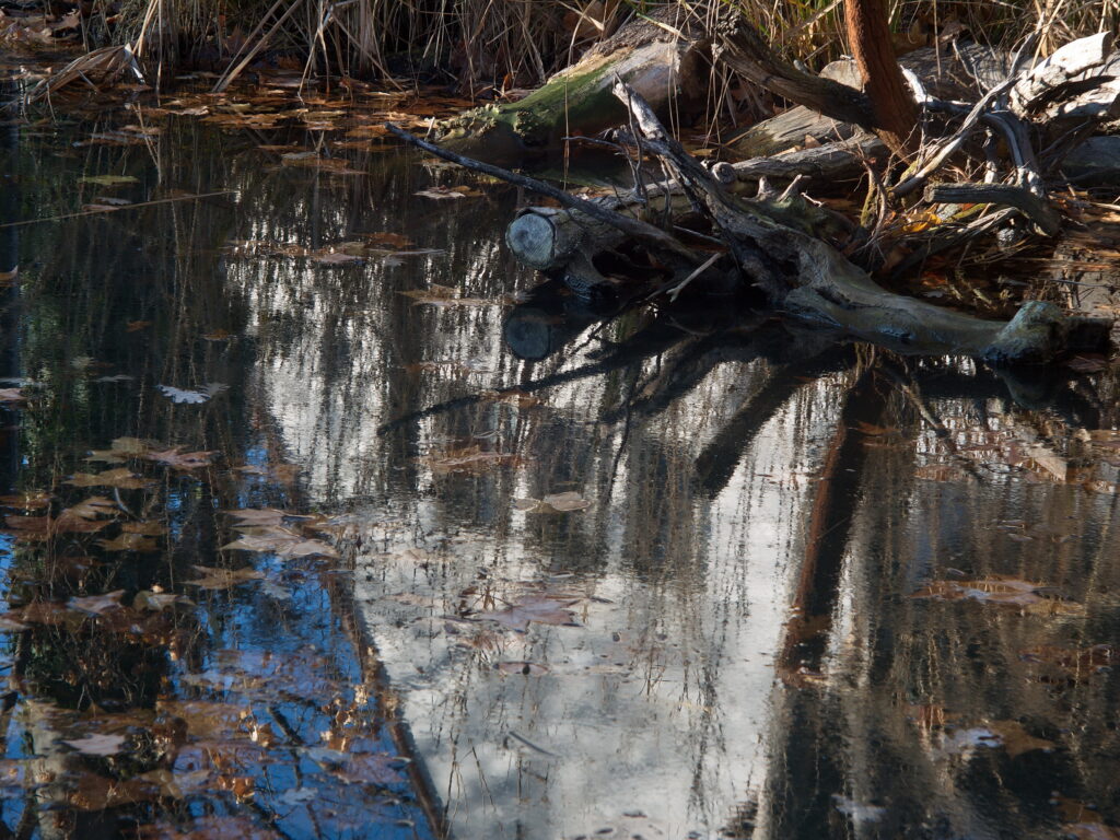 Jupiter-3 5cm f1.5 RED P Panasonic G1-10319