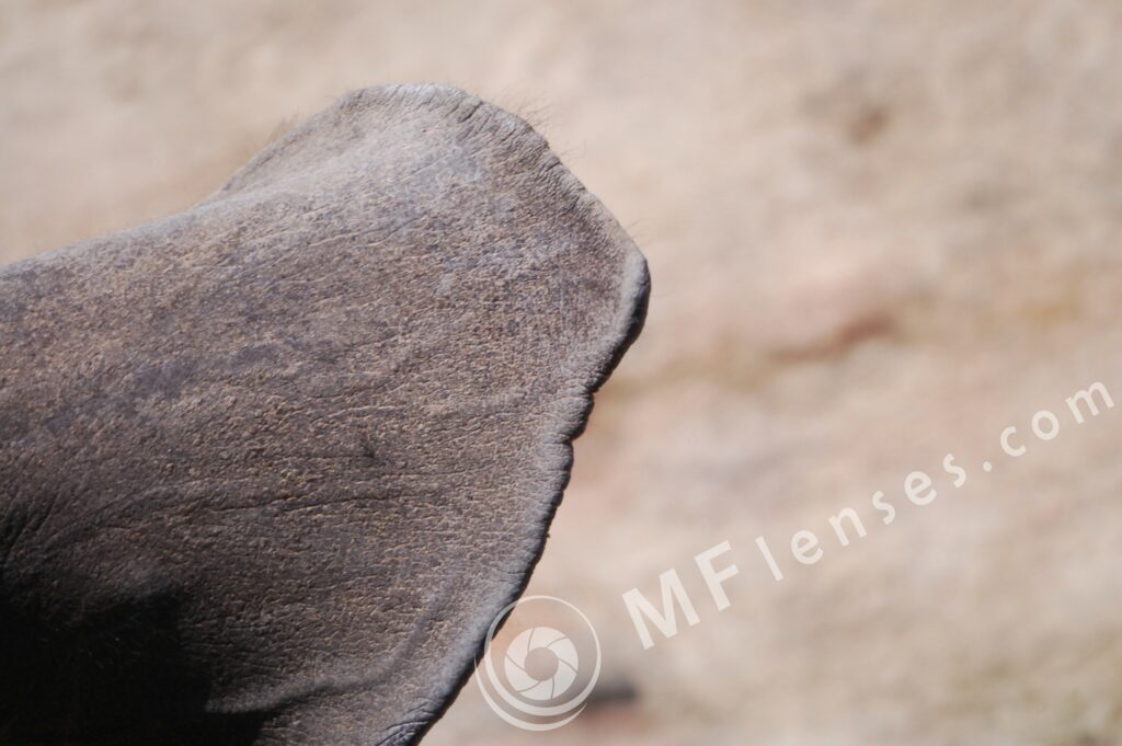 MC 3M-5CA 500mm f/8-75
