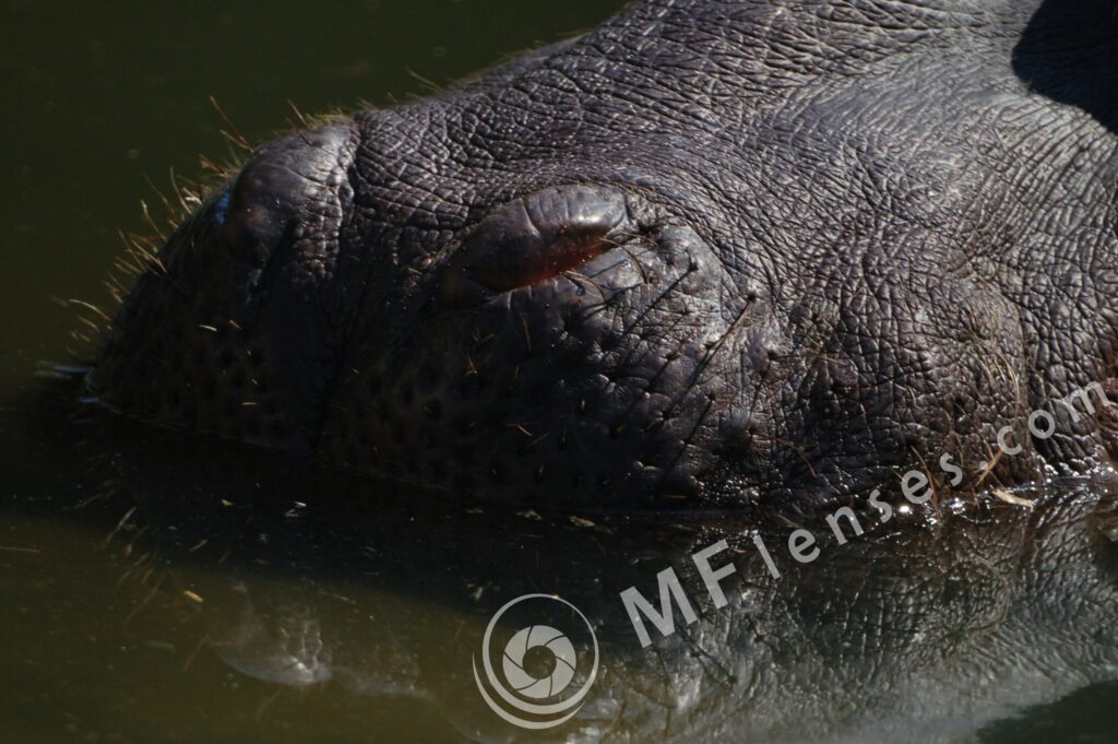 MC 3M-5CA 500mm f/8-77
