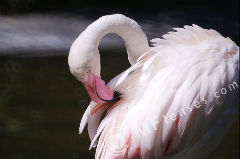 MC 3M-5CA 500mm f/8-78