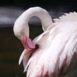 MC 3M-5CA 500mm f/8-78