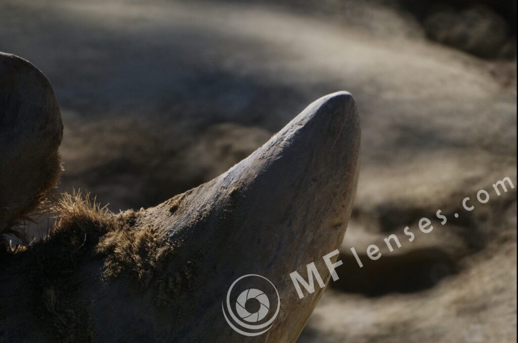 MC 3M-5CA 500mm f/8-79