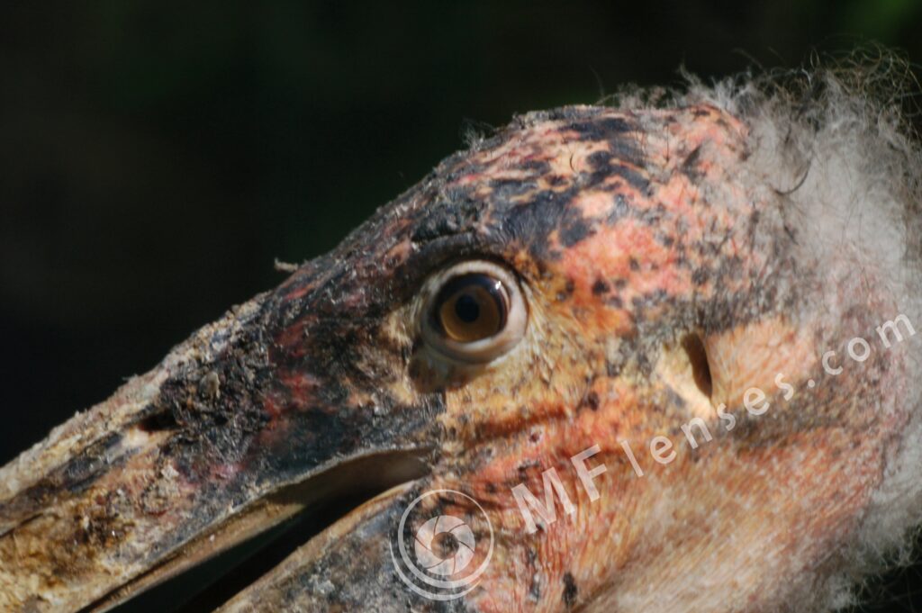 MC 3M-5CA 500mm f/8-82