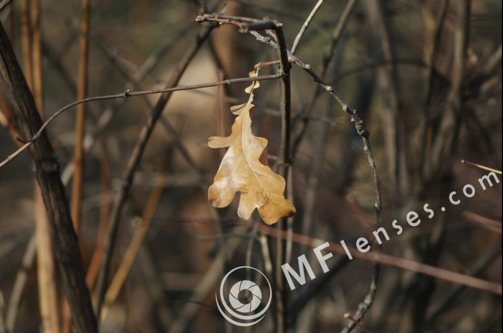 Tair-3S 300mm f/4.5 Zenit FS12 Foto Snaiper-1440